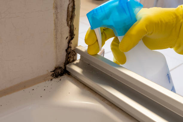 HVAC Mold Remediation