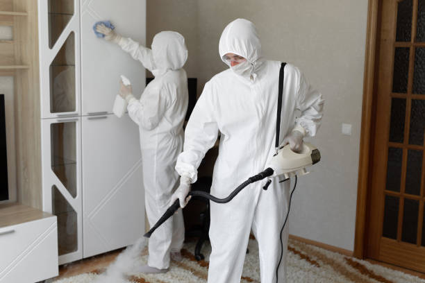 Best Commercial Mold Remediation in Hyrum, UT